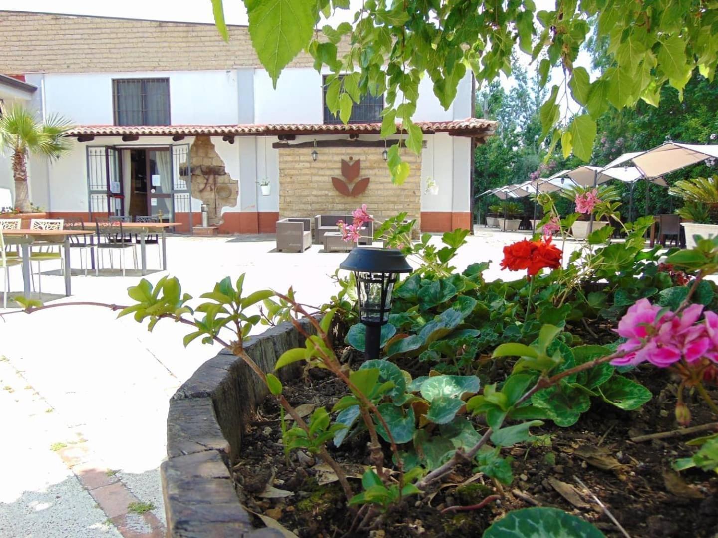 Bed and Breakfast Casale Rurale San Marco Evangelista Zewnętrze zdjęcie